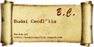 Budai Cecília névjegykártya